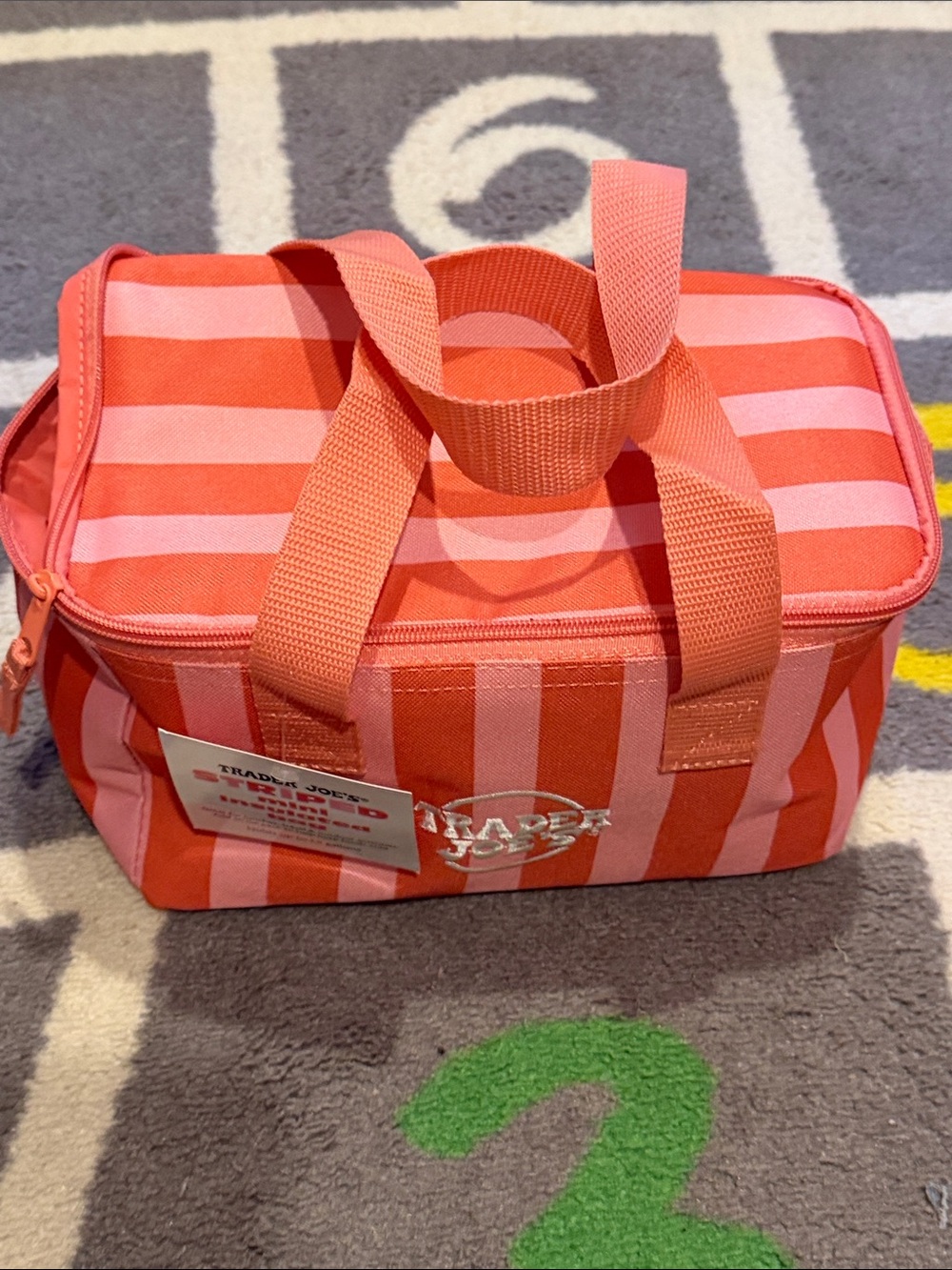 Trader Joe's Coral Pink Striped Insulated Cosmetic Bag